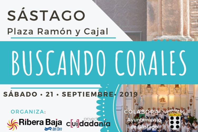 Buscando corales 2019
