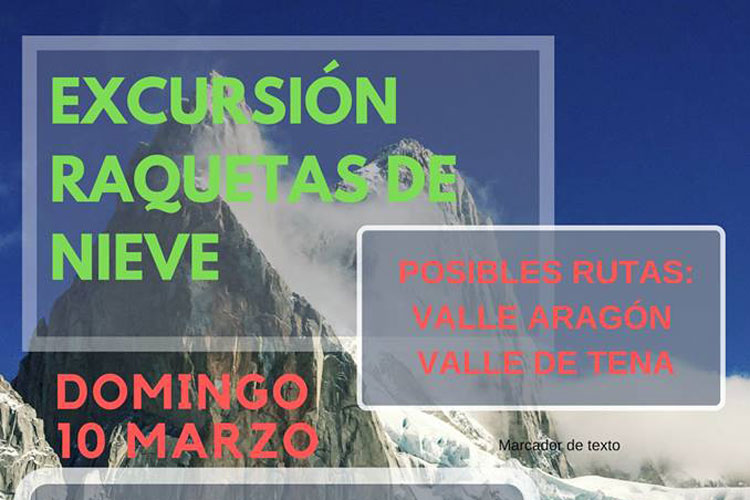 Cartel viaje raquetas nieves