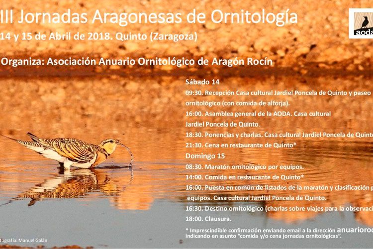 Cartel jornadas ornitología de Aragón