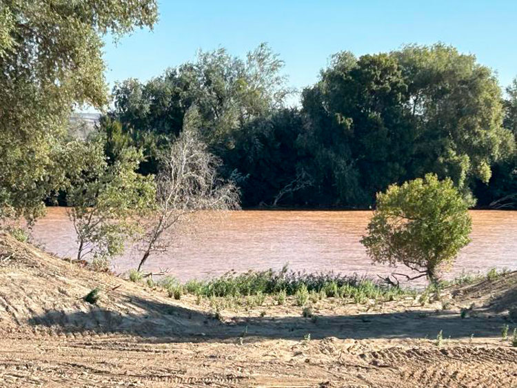 Ebro Resilence
