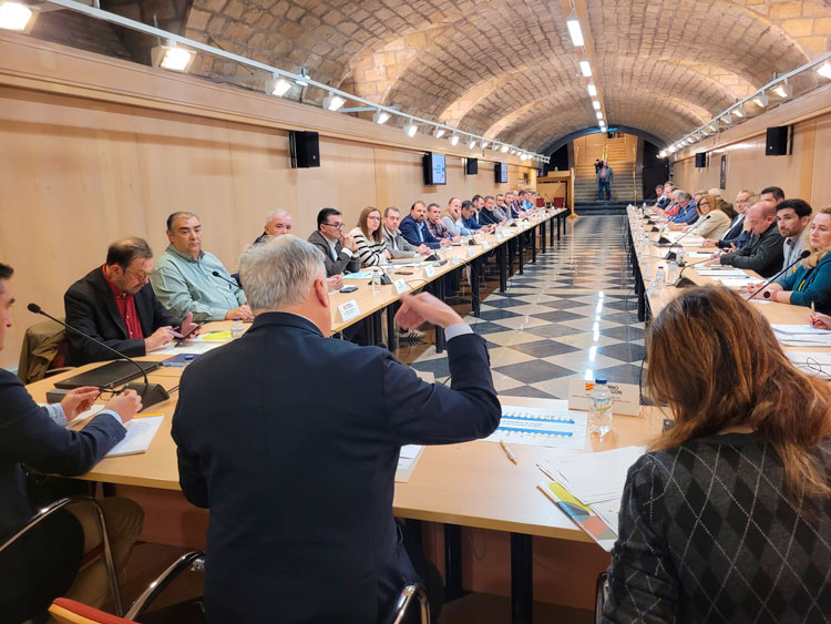 Consejo cooperación comarcal