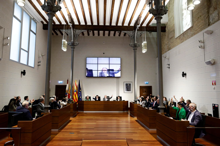 Pleno DPZ