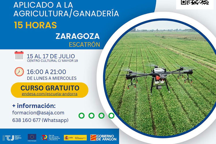 Piloto drones