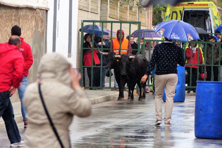 Foto de archivo de las fiestas de San Pedro Mártir de 2017