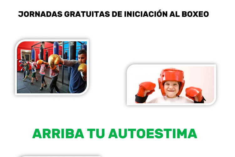 Boxeo Gelsa
