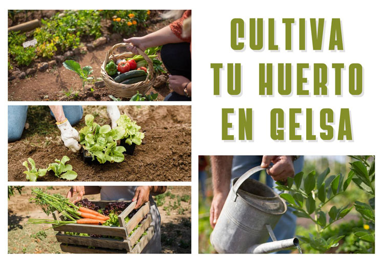 Huerto en Gelsa