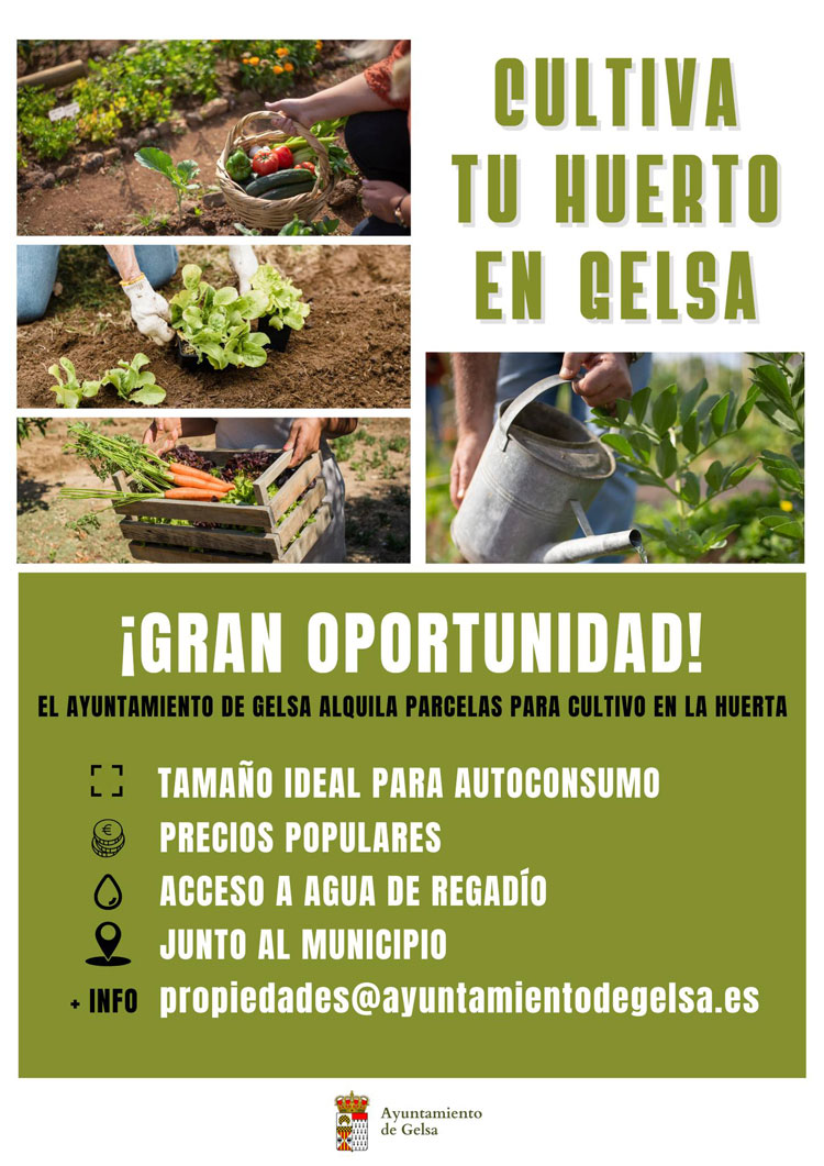 Huerto en Gelsa