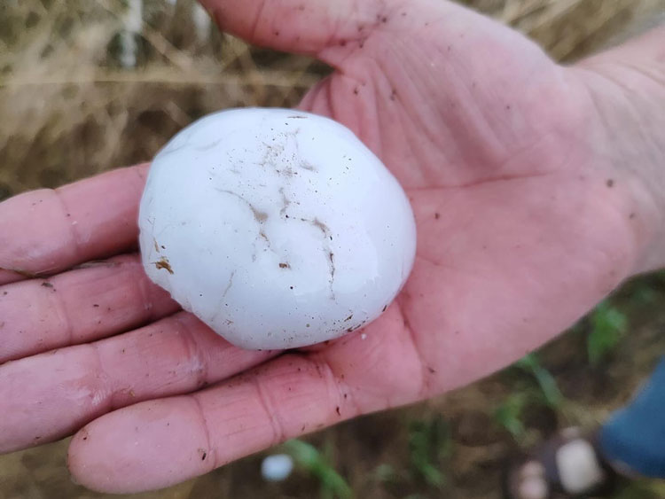 Imagen de la granizada caída en Quinto
