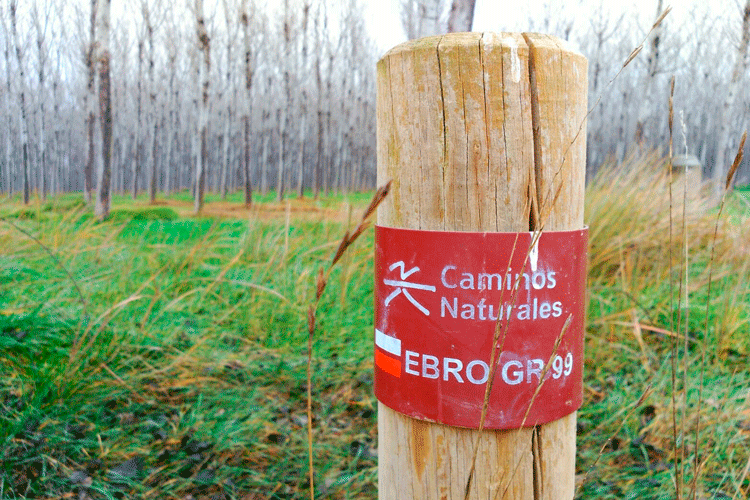 Arreglos en el GR-99 a su paso por Pina de Ebro