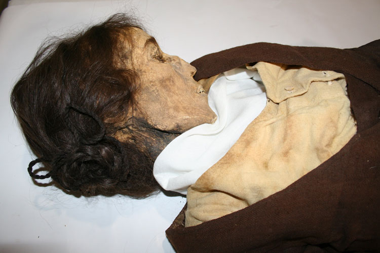Momias de Quinto
