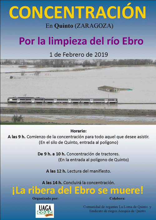 20190118-zafarache-quinto-concentracion