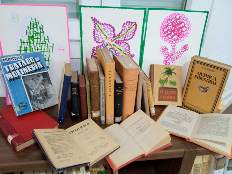 Libros antiguos biblioteca Sástago.
