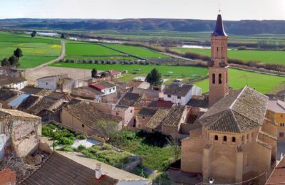 Cortes en la carretera de Gelsa a Velilla de Ebro