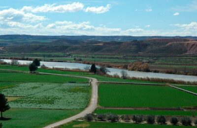 El azarbe: Espacio de divulgación agraria ganadera y rural