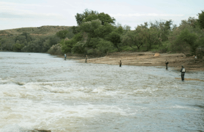 Recogen tres toneladas de basura en apenas cuatro kilómetros de orilla del Mar de Aragón