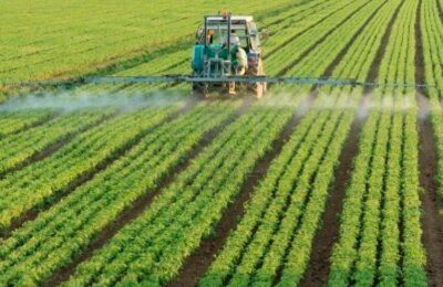 Unos 400 jóvenes agricultores se beneficiarán este año de las ayudas al desarrollo rural de la DGA
