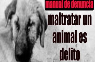 El abogado responde: maltrato animal