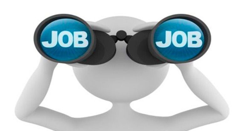 Joven con experiencia busca trabajo como ayudante de barra
