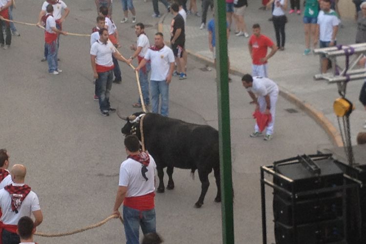 Fiestas de San Juan en Pina