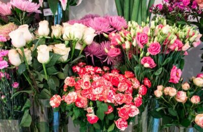 Oferta de empleo para dependiente de floristería en Sástago