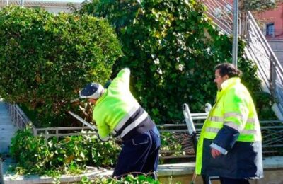 Contratación de tres peones de jardinería en Quinto
