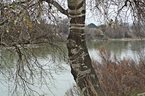 Afectados por el Ebro insisten en acometer obras de prevención