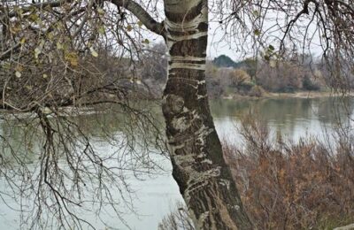 La Ribera espera la máxima crecida del Ebro mañana