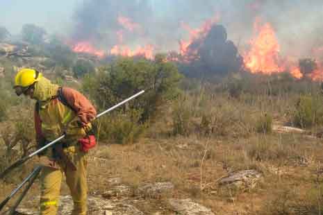Un tren provoca un incendio entre Escatrón y Castelnou