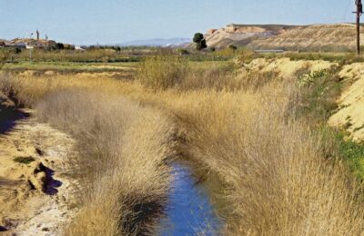 Aqualia gestionará el agua para Zaragoza y el corredor del Ebro