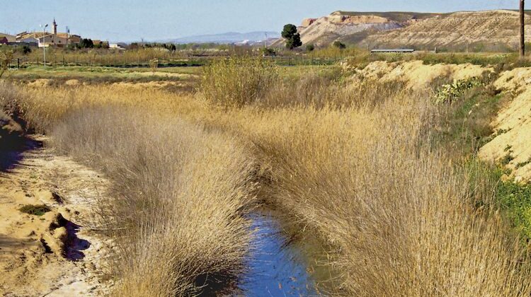 Aqualia gestionará el agua para Zaragoza y el corredor del Ebro