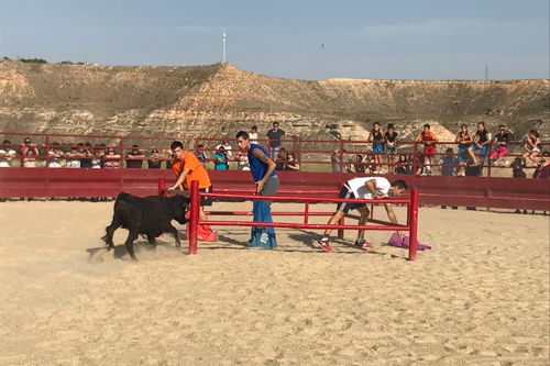 Sástago celebra sus fiestas mayores en honor a la Virgen y San Roque