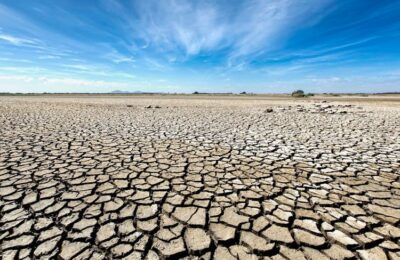 El azarbe: La sequía actual: un desastre agroambiental