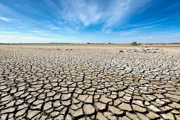 El azarbe: La sequía actual: un desastre agroambiental