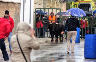 Fiestas de Gelsa en honor a San Pedro Mártir de Verona