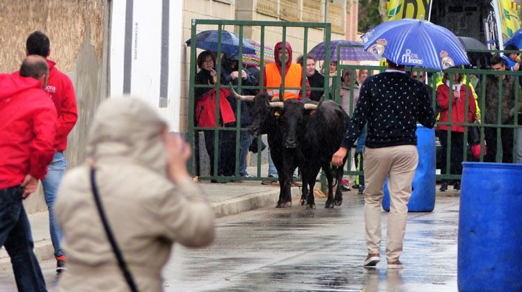 Fiestas de Gelsa en honor a San Pedro Mártir de Verona