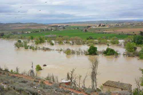 La DGA presentará las ayudas a los agricultores afectados por la riada tras conocer las del Estado