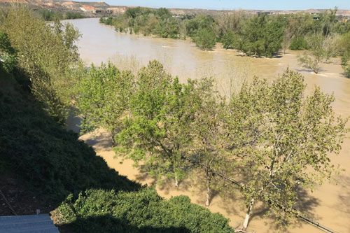 La punta de la crecida del Ebro llega a Zaragoza y se dirige a la Ribera Baja
