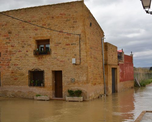 Aragón limpiará la ribera para minimizar los daños de las riadas