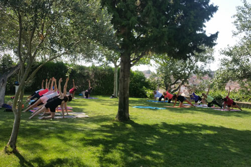 “El yoga es el viaje de uno mismo, a través de uno mismo, hacia uno mismo»
