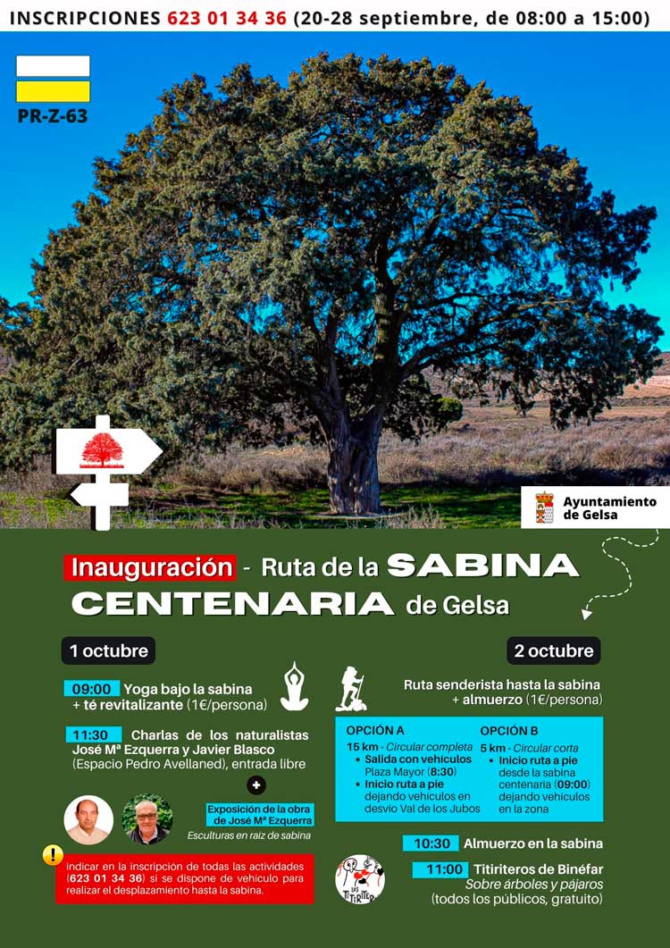 Gelsa inaugura una ruta en torno a su sabina centenaria