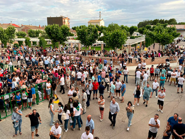 Pina de Ebro se prepara para celebrar San Juan con toros de soga, jota, música y tradición