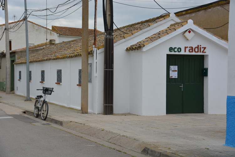 La cooperativa Tararaina de Pina, premiada por BBVA por su proyecto de regaliz sostenible