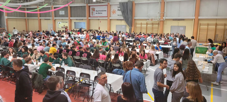 Gelsa organiza varios días de actos por San Pedro Mártir con procesiones, música y vacas en la plaza
