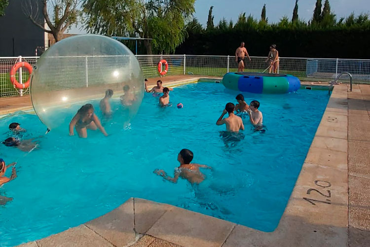 Se busca persona para gestionar las piscinas y el bar de Alforque este verano