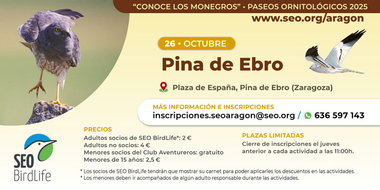 Pina de Ebro acoge una jornada para conocer la biodiversidad de Los Monegros a través de sus aves