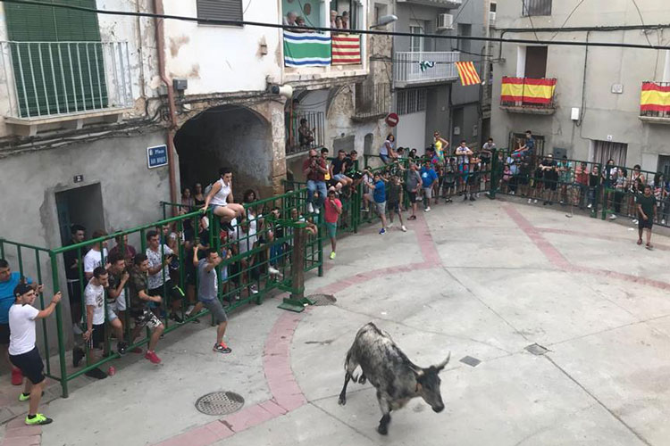 Fiestas de verano en Escatrón
