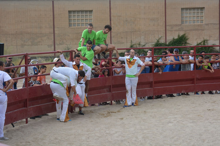 Fiestas mayores en Sástago en honor a la Virgen y San Roque