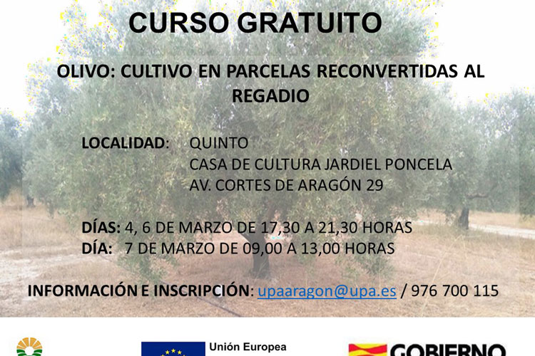 Curso gratuito de poda de olivo en Quinto