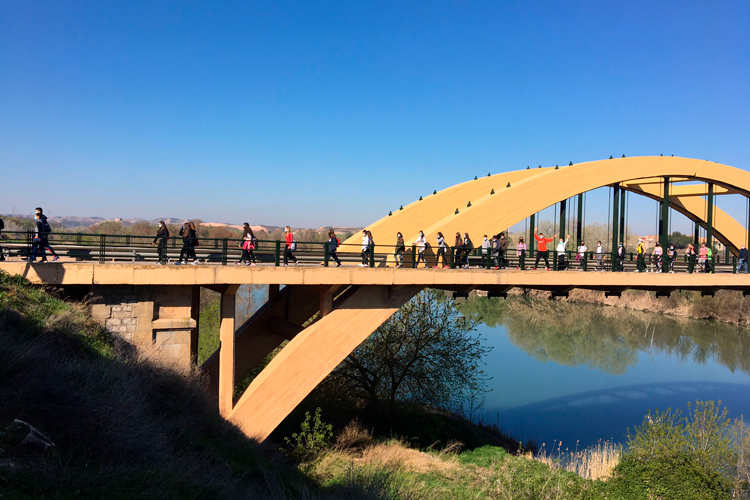 Excursión del instituto de Sástago a la ermita de Montler