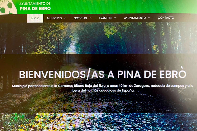 Nueva web actualizada de Pina